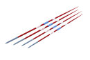 Polanik Sky Challenger 700g 2025