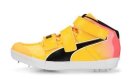 EvoSpeed Javelin