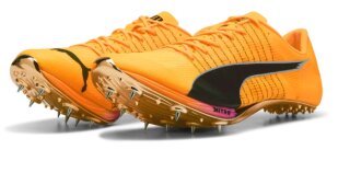 Elite 2 (orange/ violett/ bronze)